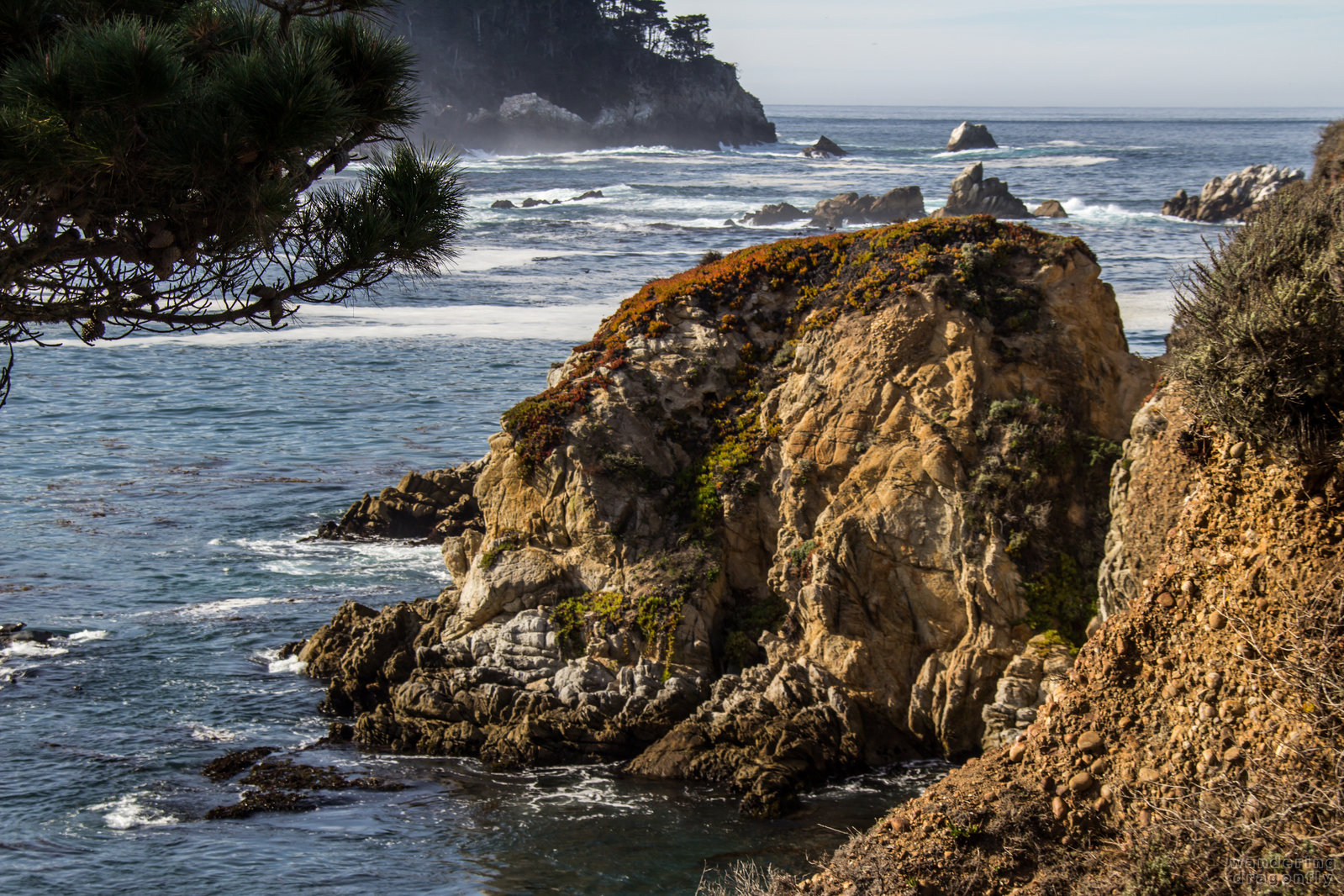 Cliff in afternoon light -- cliff, ice flower, ocean, rock, tree, water