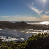 With the Sea Lion Point in the background.