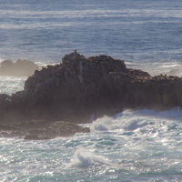 Those little spots at the top of the cliff are California Sea Lions.