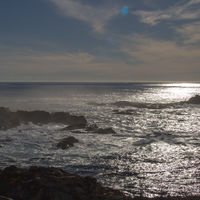 It is also the earlier Spanish name of Point Lobos, which translates to 