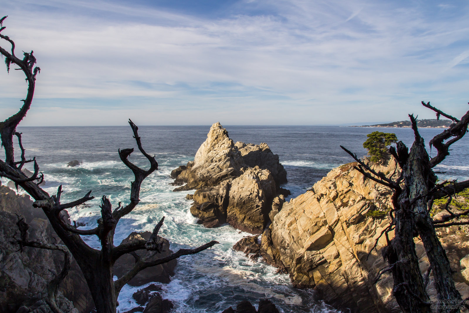 Cliffs with dry branches -- branch, cliff, ocean, rock, sky, tree, water