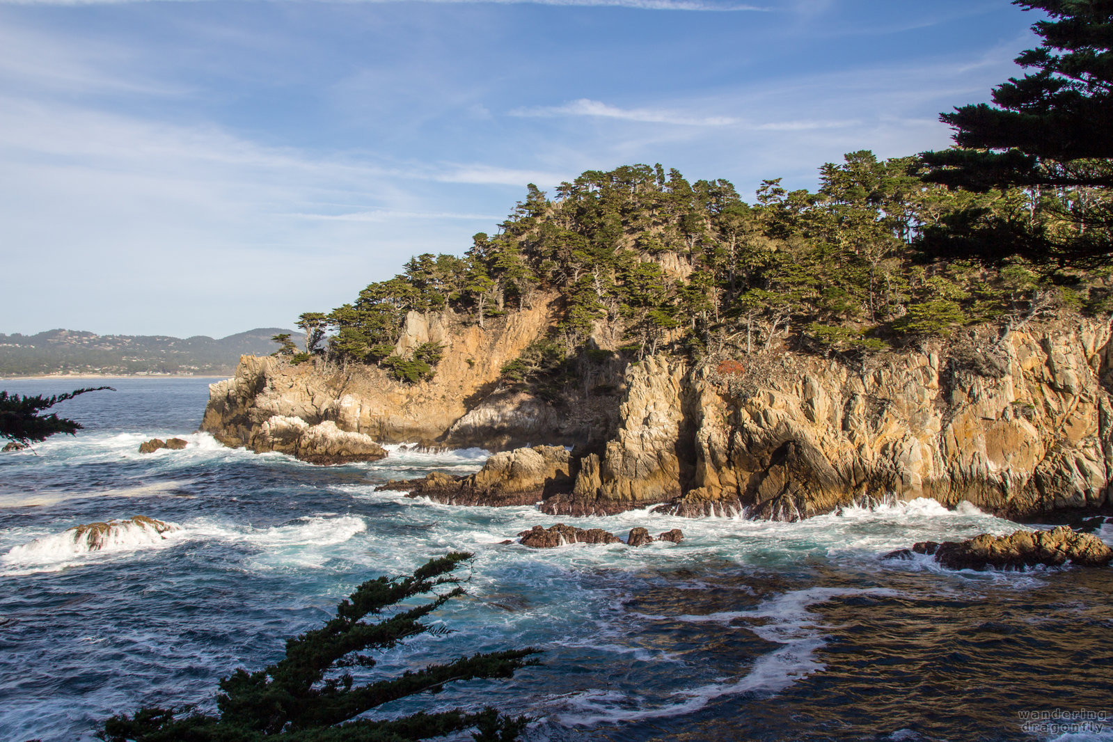 Around Cypress Cove -- cliff, forest, monterey cypress, ocean, rock, tree, water