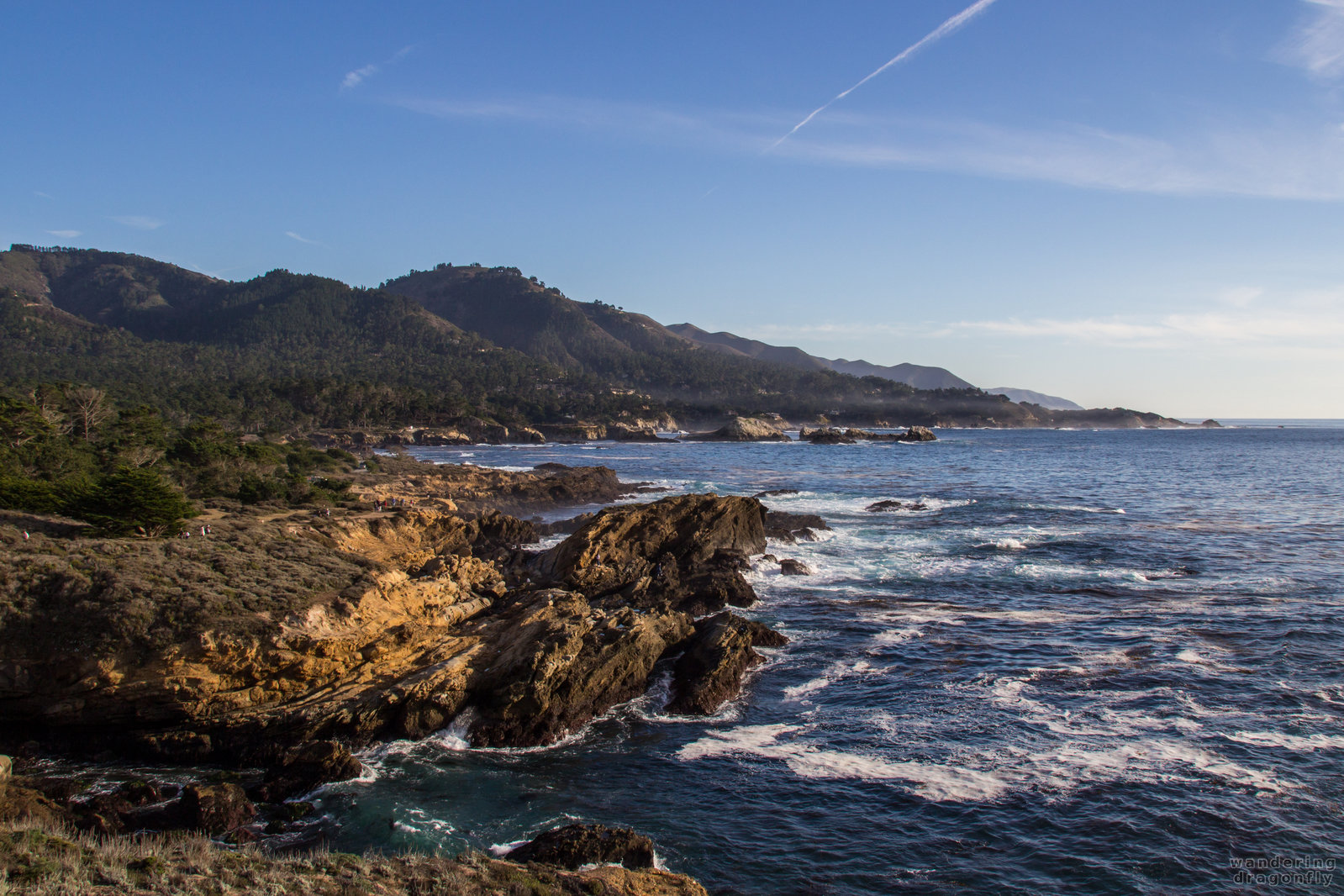 Pretty shores -- cliff, forest, ocean, rock, shore, water