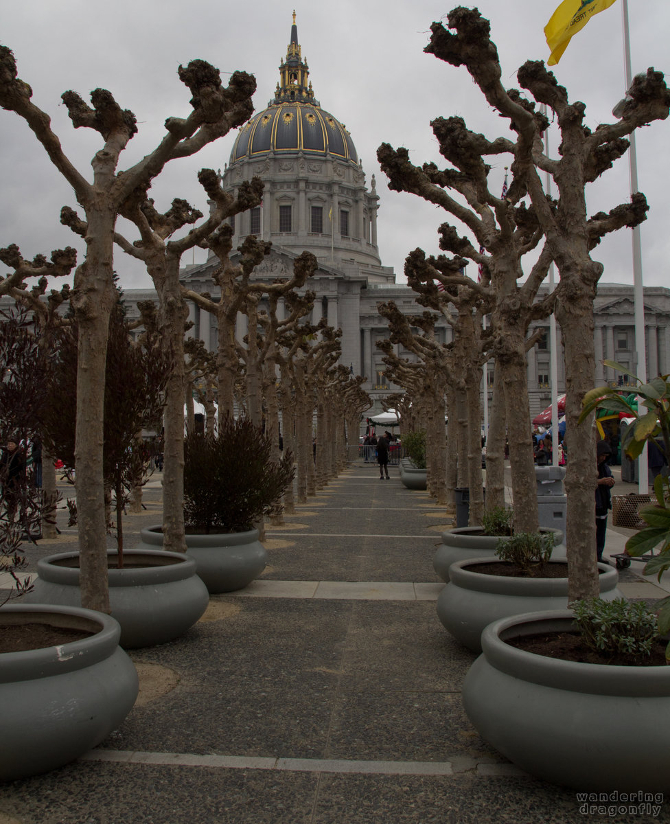 Winter-styled alley with the dome -- city hall, street, tree