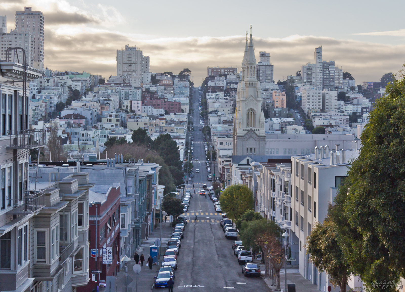 The Filbert Street surrounded by San Francisco's North Beach neighborhood -- building, city, street, vista