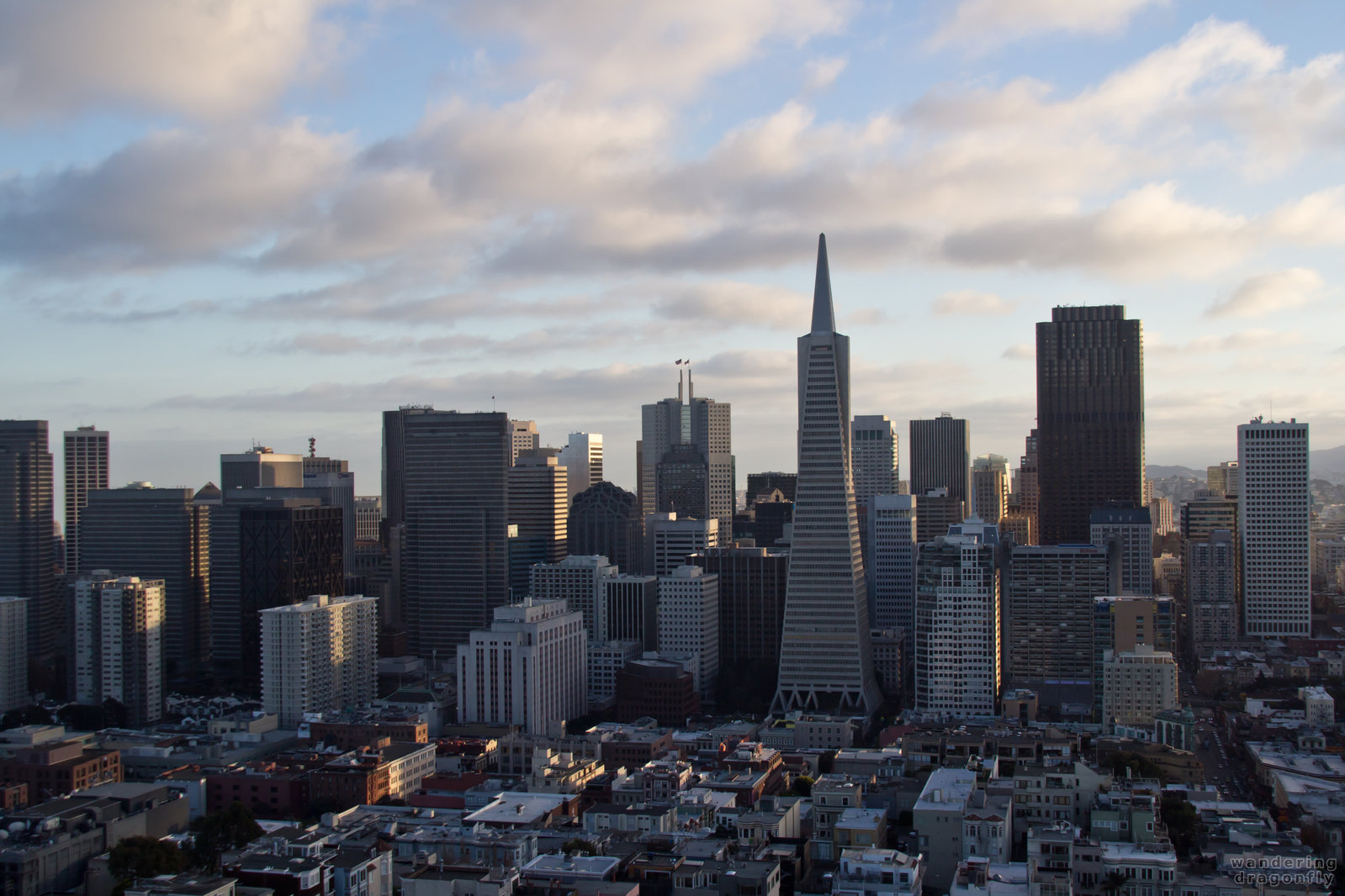 The financial district in afternoon light -- building, city, skyscraper, vista