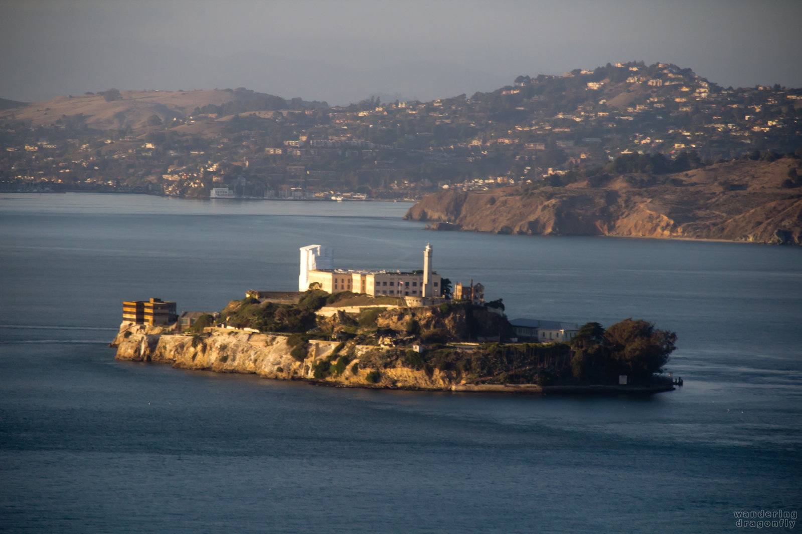 Island of Alcatraz form the Coit Tower -- building, island, water