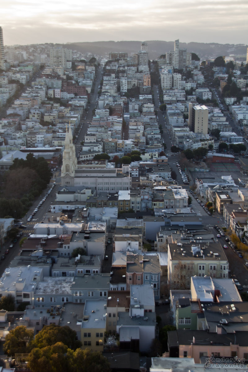 Parallel streets at sunset -- city, street, vista