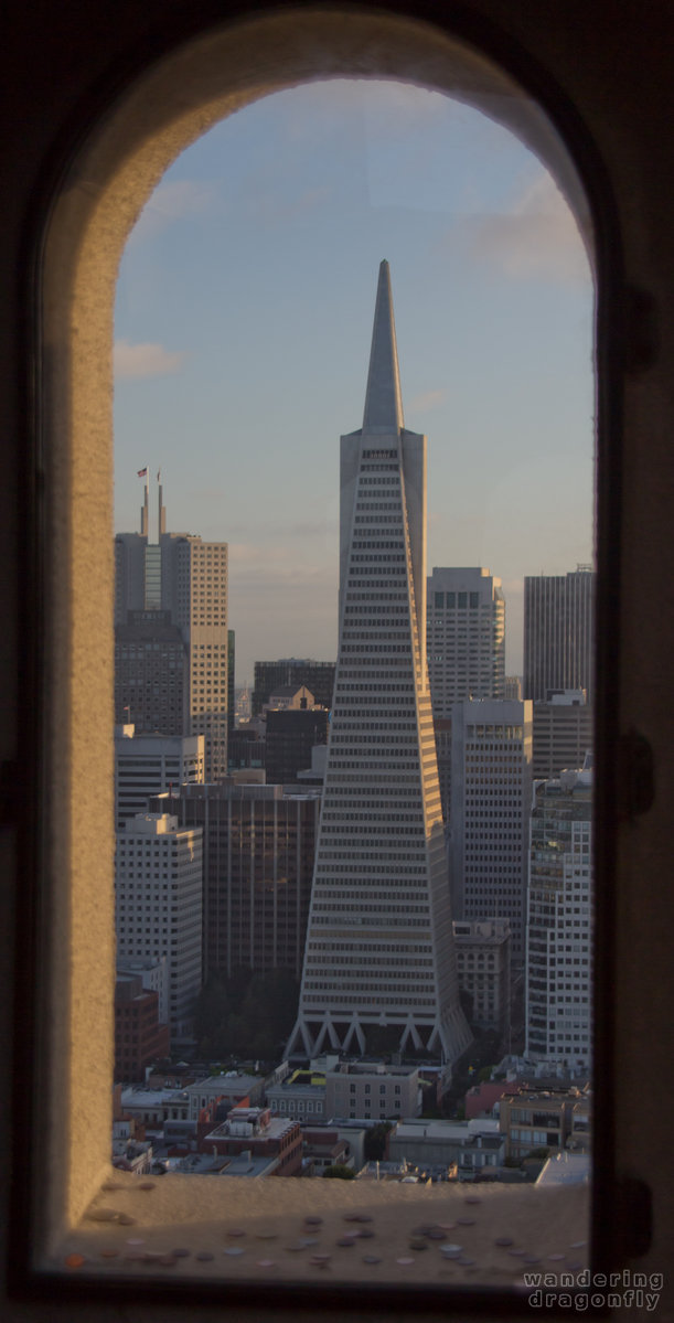 Through the window -- building, skyscraper