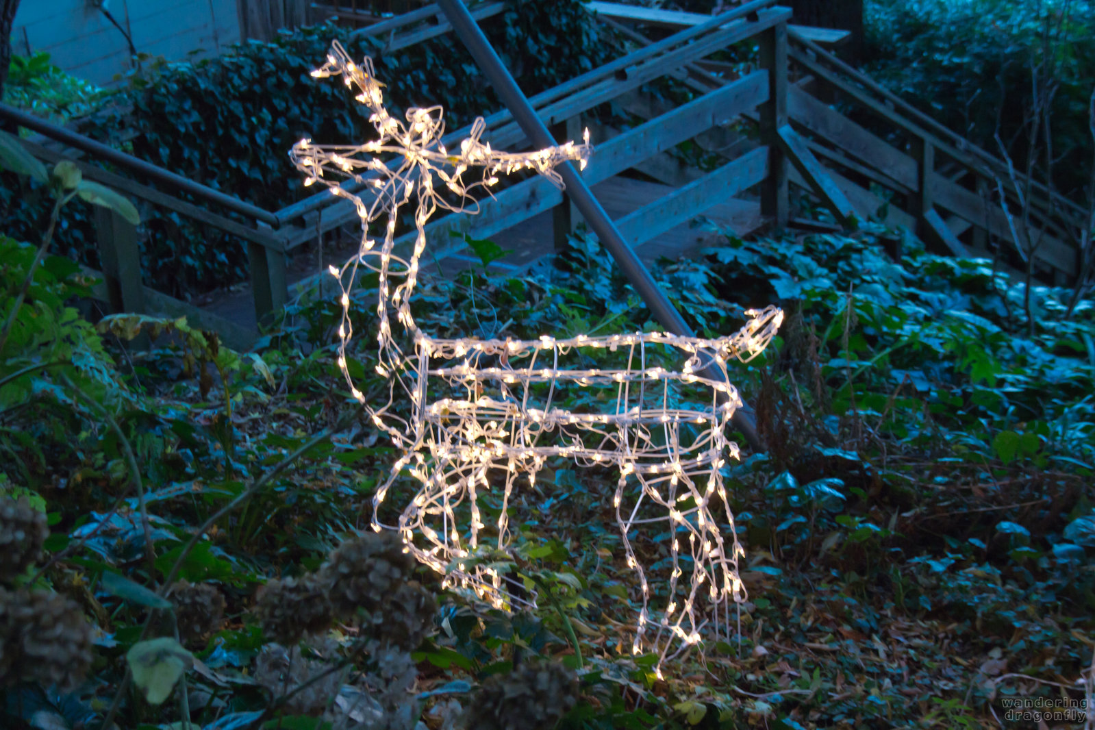 Santa's deers stalk at the Filbert Steps -- christmas decoration