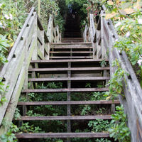 The stairs have wonderful views of San Francisco and feature well tended gardens and art deco buildings on either side along the way.