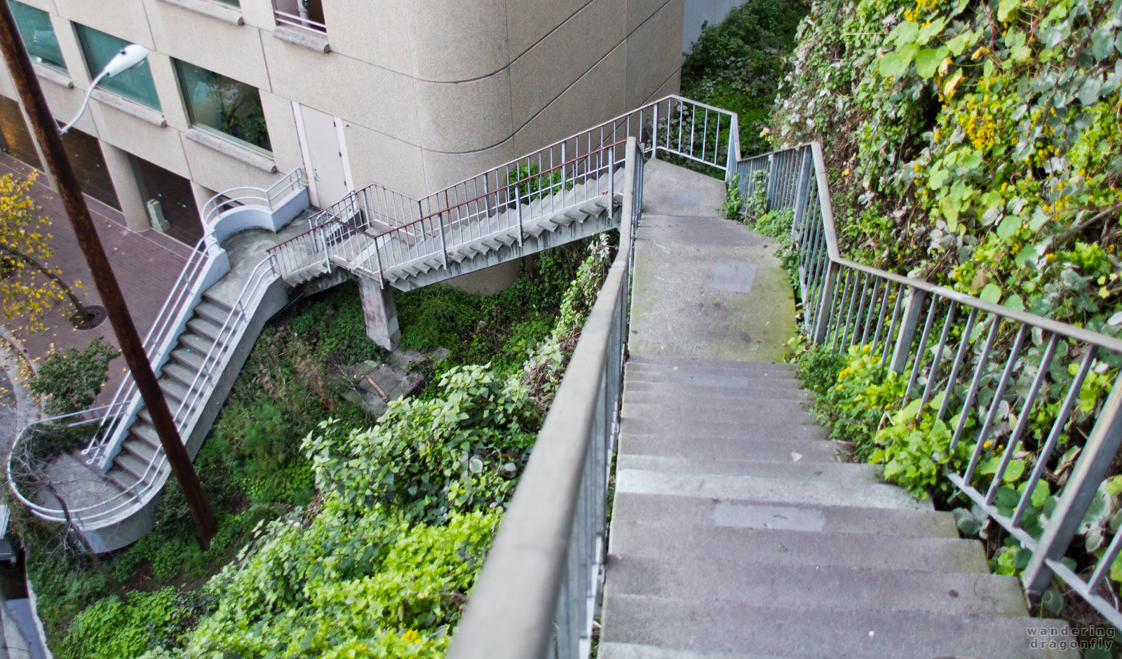 The lowest section of the Filbert Steps -- stairs