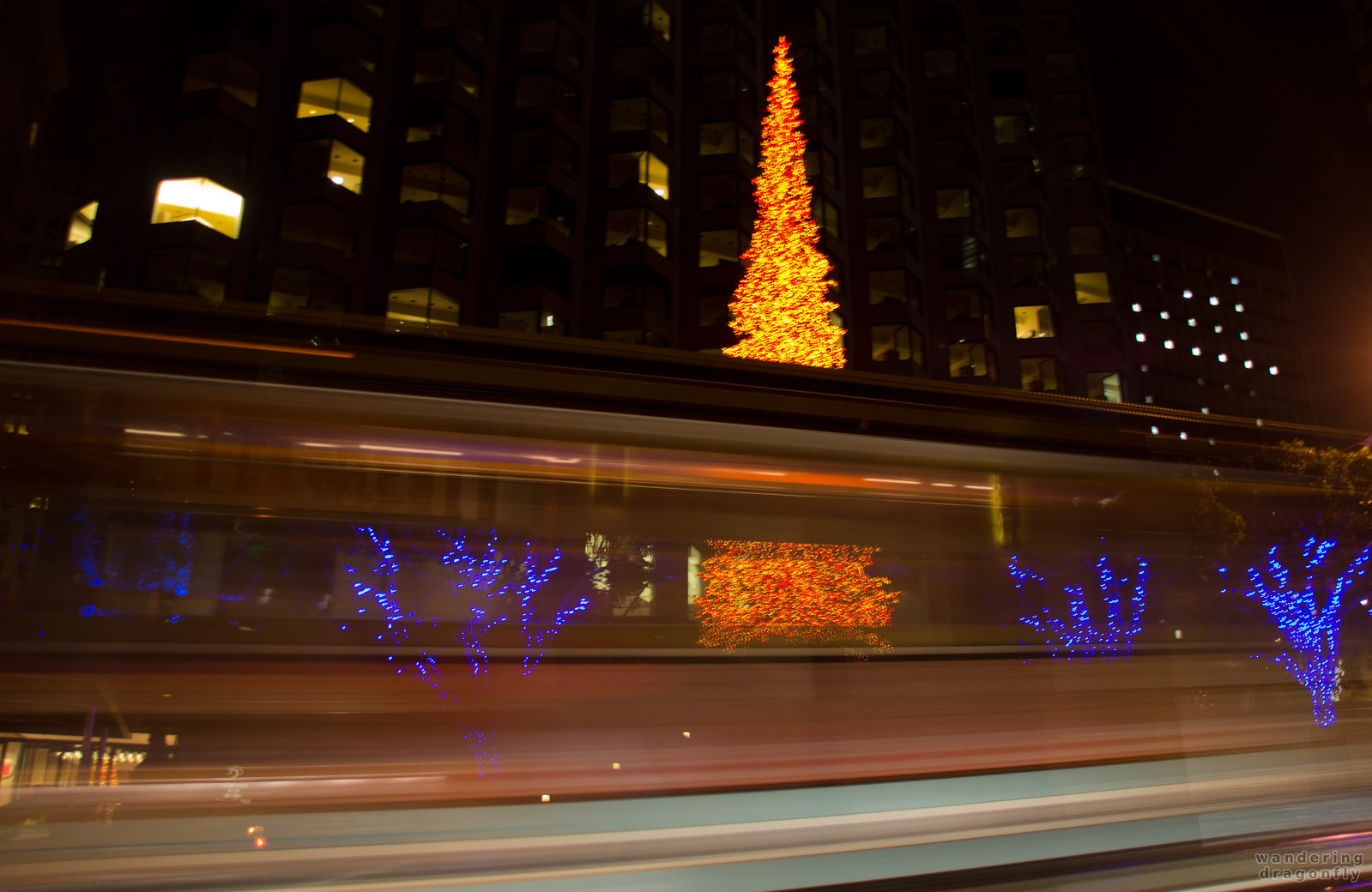 The ghost of a cable car :) -- cable car, christmas tree, lighting, night