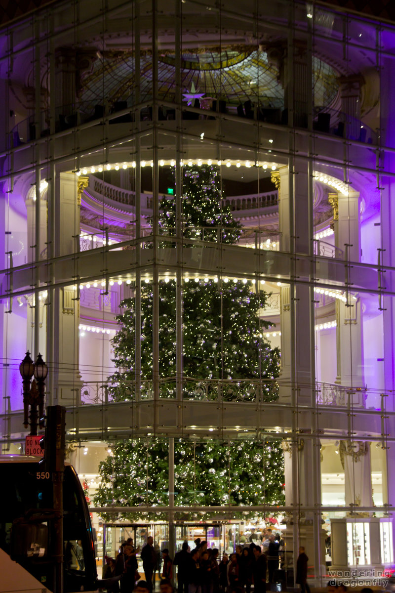 Christmas tree of Neiman Marcus from outside -- christmas tree, street