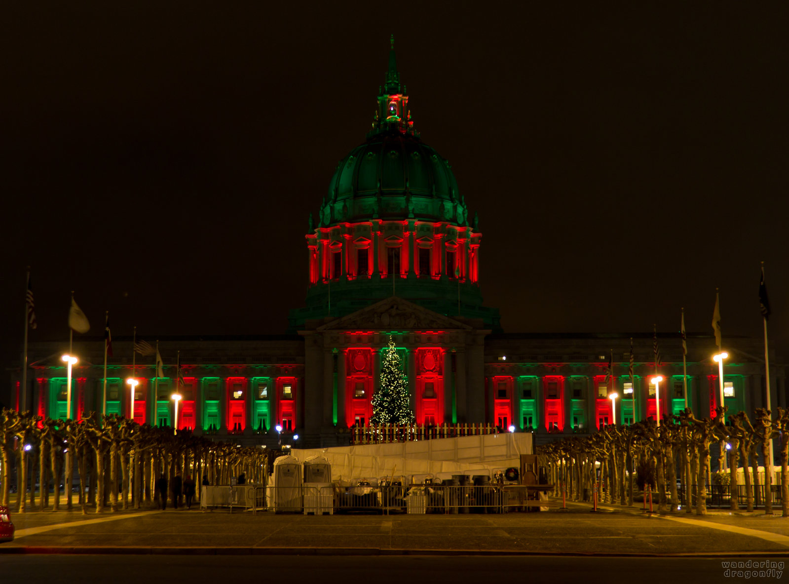 City Hall of San Francisco with christmas lights -- christmas decoration, city hall, lighting, night