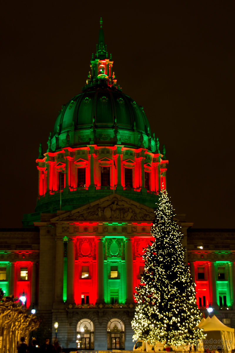 Christmas lights of the City Hall's dome -- christmas tree, city hall, lighting, night